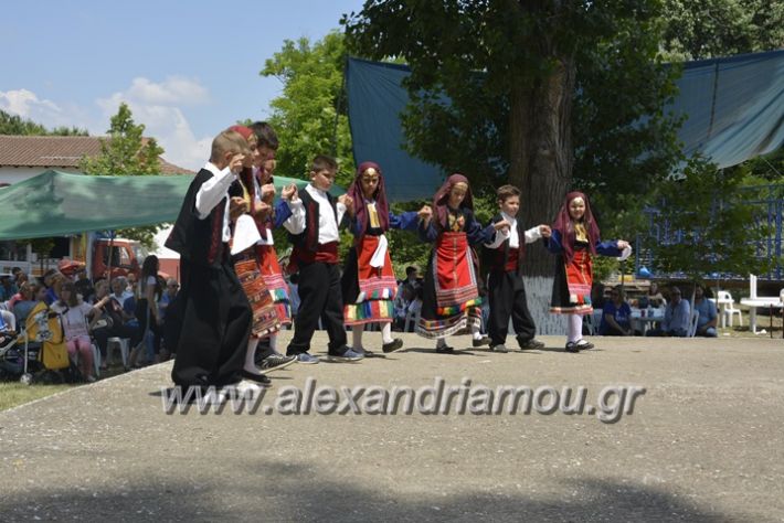 alexandriamou.gr_trikala28.5.2018192